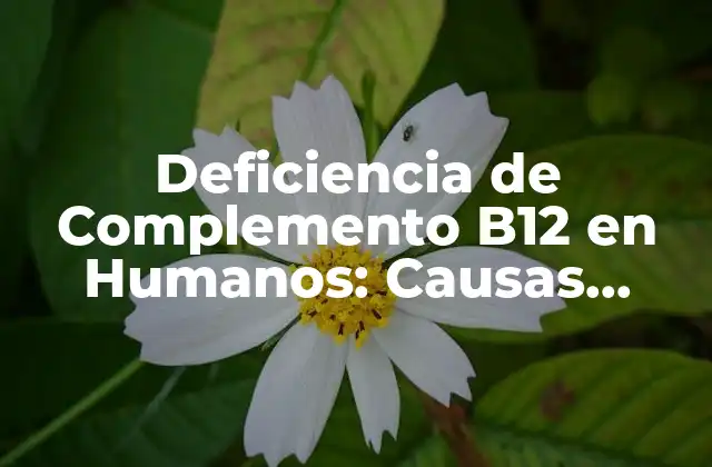 Deficiencia de Complemento B12 en Humanos: Causas, Síntomas y Tratamiento