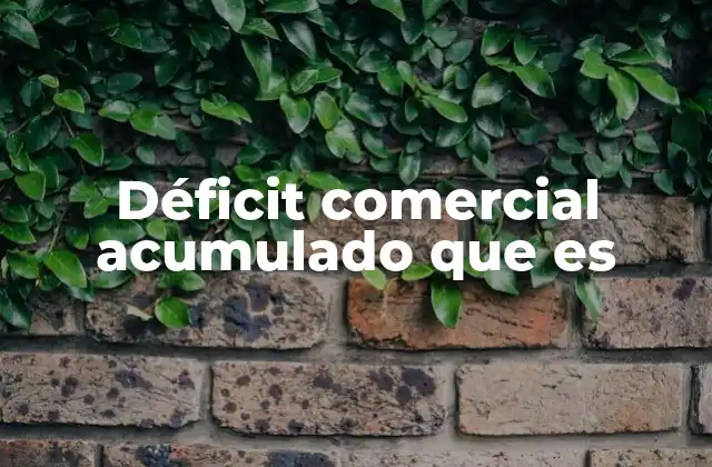 Déficit Comercial Acumulado que es