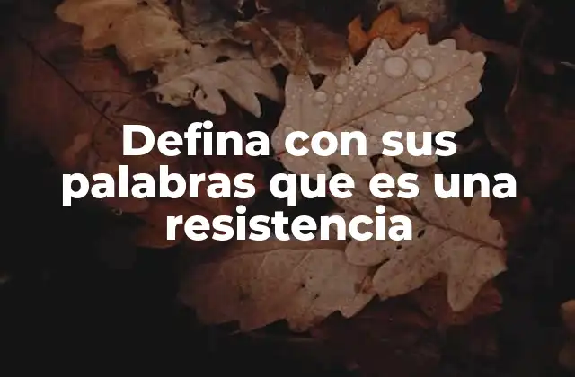 Defina con Sus Palabras que es una Resistencia