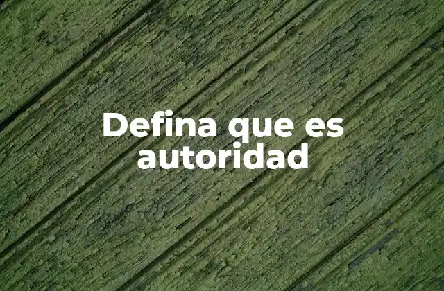 Defina que es Autoridad