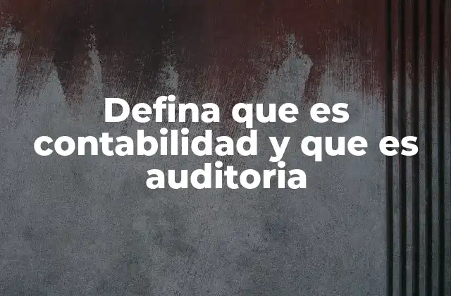 Defina que es Contabilidad y que es Auditoria