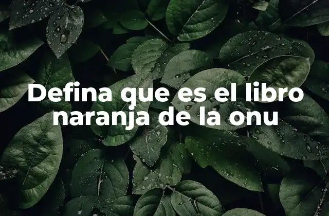 Defina que es el Libro Naranja de la Onu