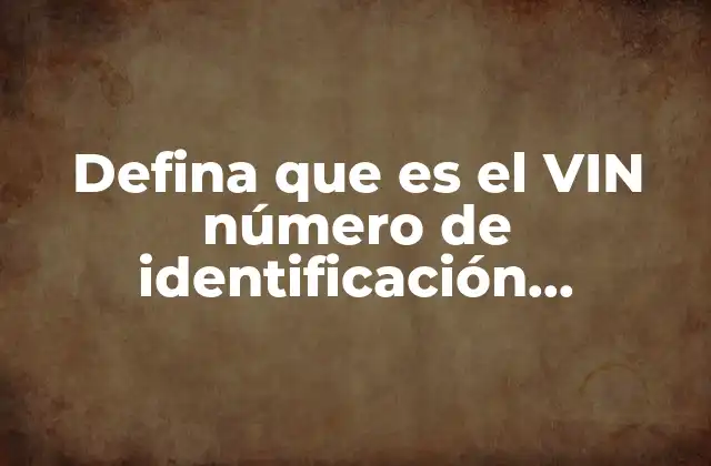 Defina que es el Vin Número de Identificación Vehicular