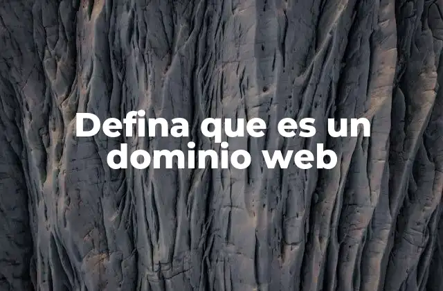 Defina que es un Dominio Web