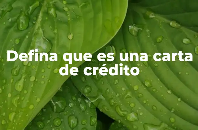 Defina que es una Carta de Crédito