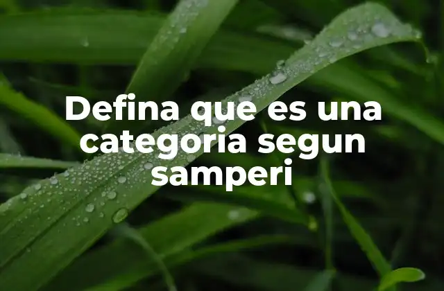 Defina que es una Categoria Segun Samperi