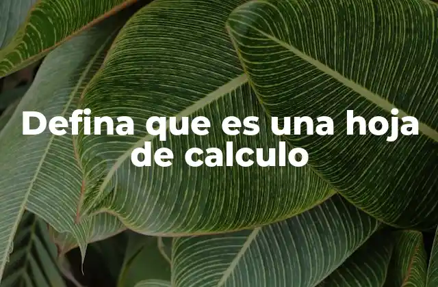 Defina que es una Hoja de Calculo
