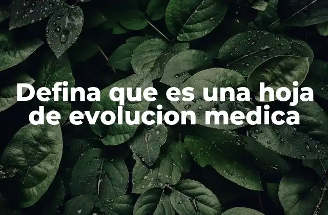 La importancia de documentar la evolución clínica