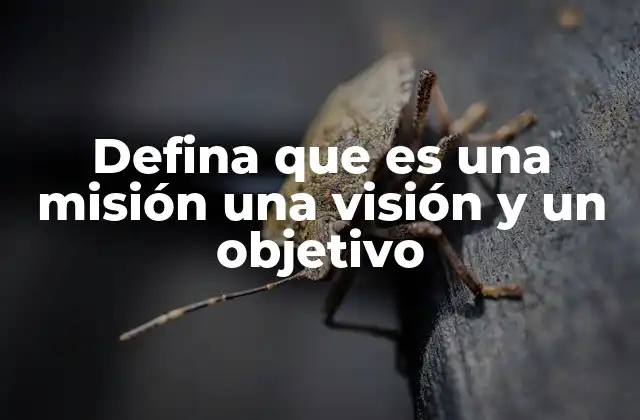 Defina que es una Misión una Visión y un Objetivo