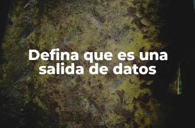 Defina que es una Salida de Datos