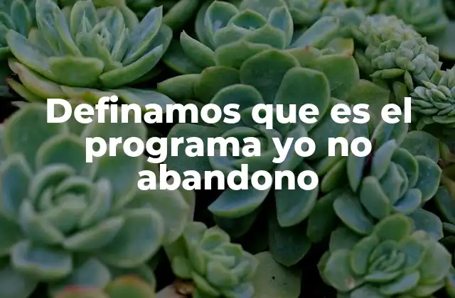 Definamos que es el Programa Yo No Abandono