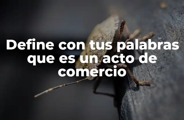 Define con Tus Palabras que es un Acto de Comercio 2 La importancia de los actos de comercio en la economía