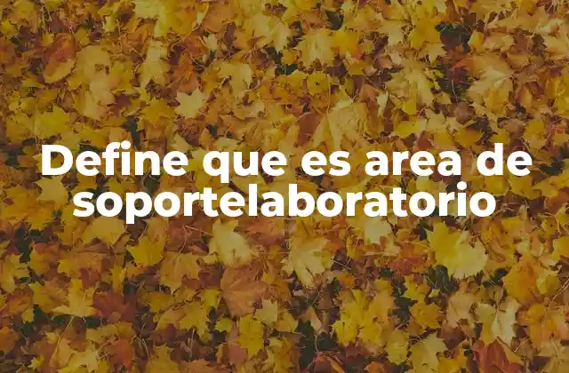 Define que es Area de Soportelaboratorio
