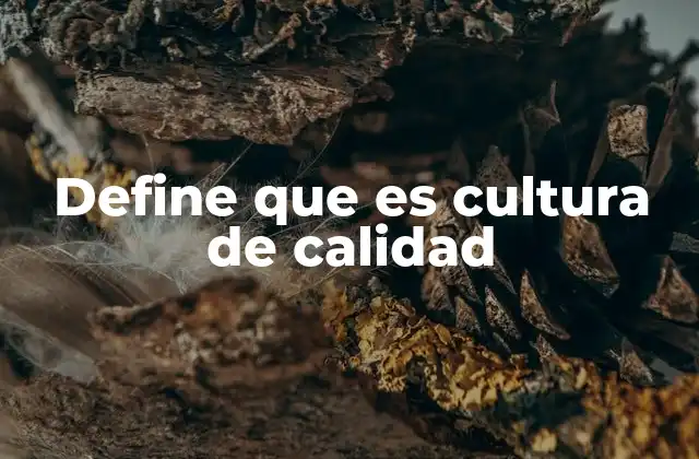 El rol de la cultura en la calidad organizacional