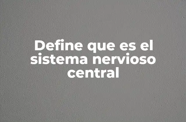 El cerebro y la médula espinal: la base del sistema nervioso central