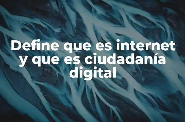 Define que es Internet y que es Ciudadanía Digital
