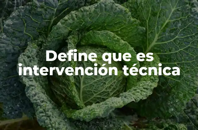Define que es Intervención Técnica 2 Cómo se estructuran las intervenciones técnicas en la educación