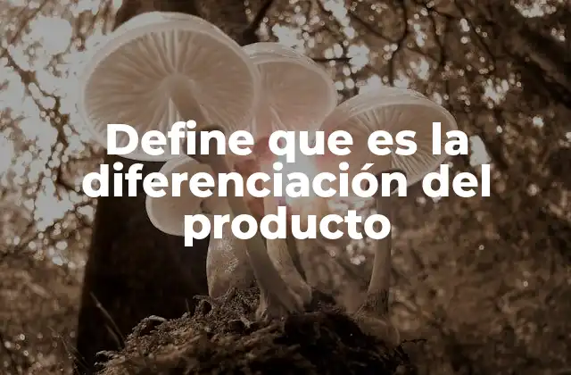 Define que es la Diferenciación Del Producto