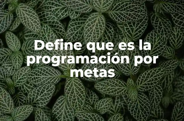 Define que es la Programación por Metas