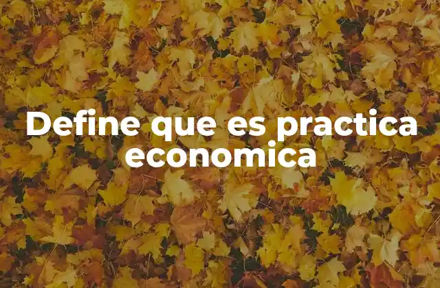 La importancia de la aplicación práctica en el contexto económico