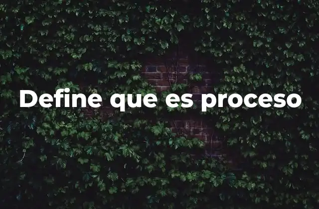 Define que es Proceso