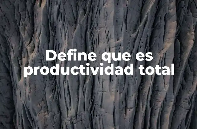 Define que es Productividad Total 2 La importancia de medir la eficiencia general de los procesos productivos