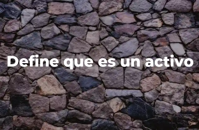 Define que es un Activo