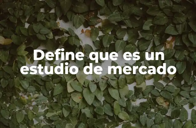Define que es un Estudio de Mercado