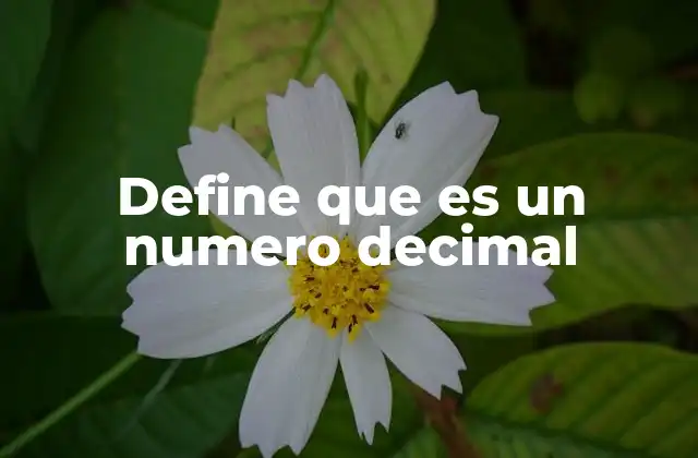 Define que es un Numero Decimal