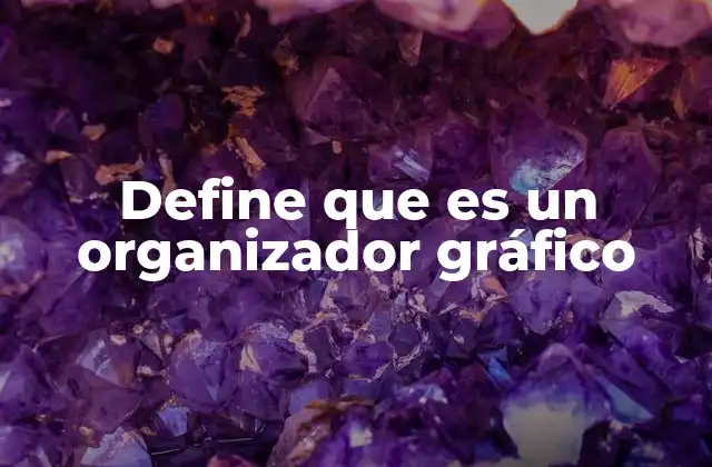 Define que es un Organizador Gráfico
