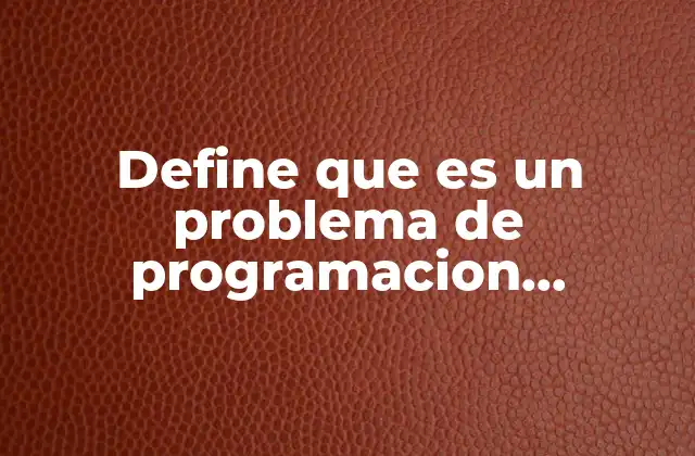 Define que es un Problema de Programacion Informatica