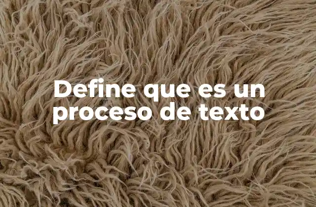 Define que es un Proceso de Texto