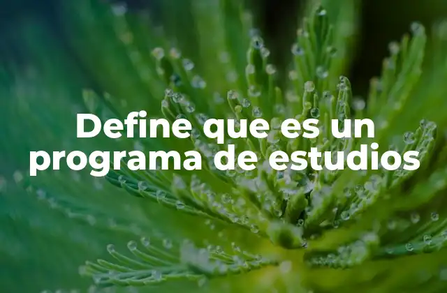 Define que es un Programa de Estudios