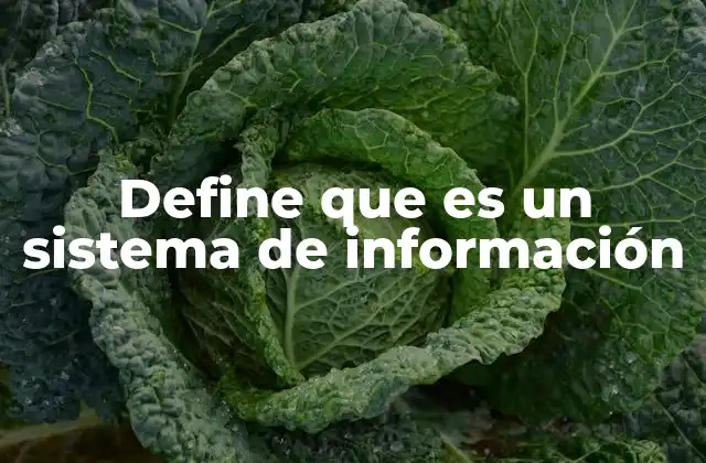 Define que es un Sistema de Información