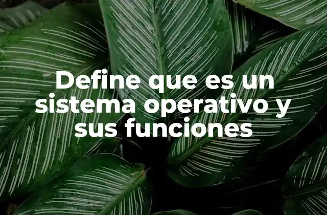 Define que es un Sistema Operativo y Sus Funciones