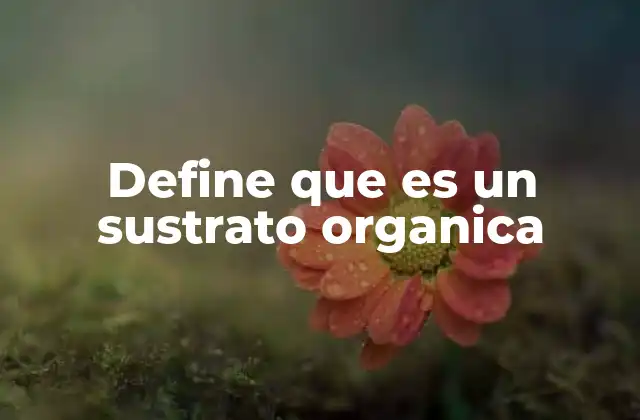 Define que es un Sustrato Organica 2 La importancia de los sustratos orgánicos en la agricultura sostenible