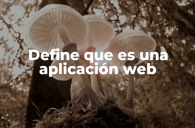 Define que es una Aplicación Web