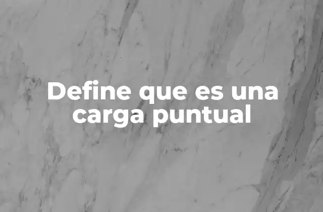 Define que es una Carga Puntual 2 El modelo idealizado en física