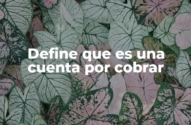 Define que es una Cuenta por Cobrar