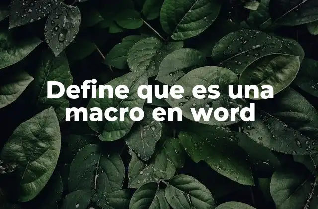 Define que es una Macro en Word