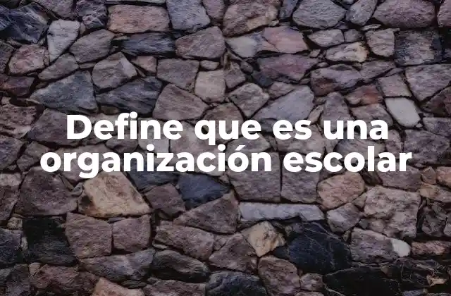 Define que es una Organización Escolar