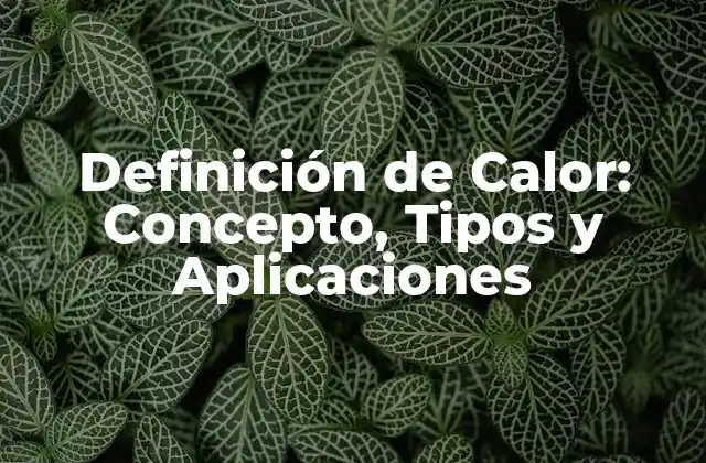 Definición de Calor: Concepto, Tipos y Aplicaciones 2 ¿Qué es el Calor?