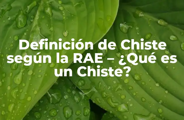 Definición de Chiste según la Rae – ¿qué es un Chiste?
