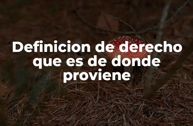 Definicion de Derecho que es de Donde Proviene 2 Origen y evolución del derecho a lo largo de la historia
