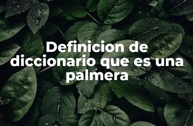 Definicion de Diccionario que es una Palmera