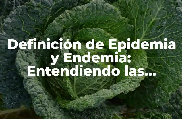 Definición de Epidemia y Endemia: Entendiendo las Diferencias entre Estos Conceptos Médicos