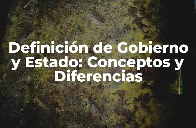 Definición de Gobierno y Estado: Conceptos y Diferencias