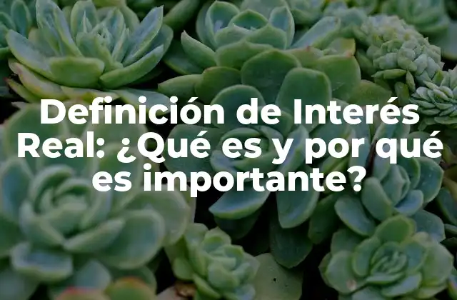 Definición de Interés Real: ¿qué es y por Qué es Importante?
