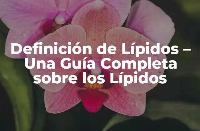 Definición de Lípidos – una Guía Completa sobre los Lípidos