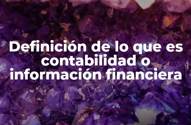 Definición de Lo que es Contabilidad o Información Financiera